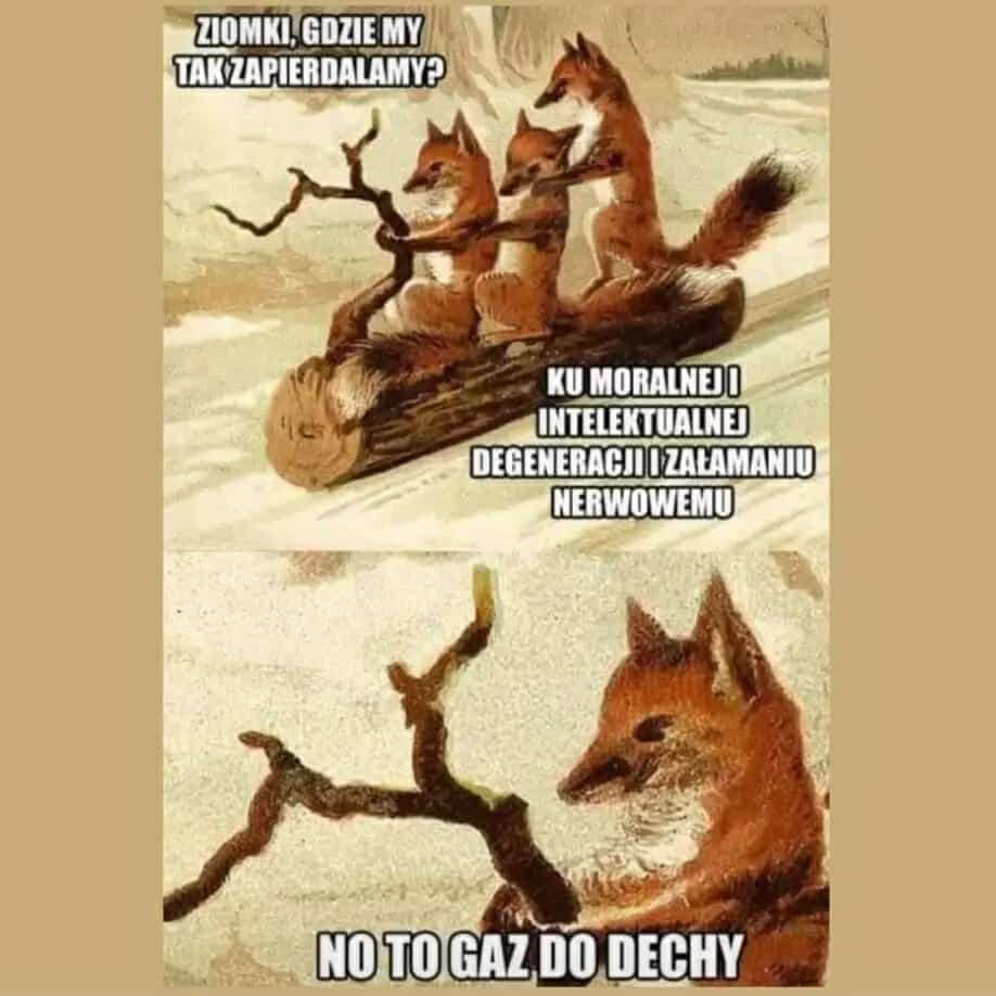 Centralnym punktem stoickiej myśli jest rozróżnienie tego, na co mamy wpływ, od tego, co jest poza naszą kontrolą. 